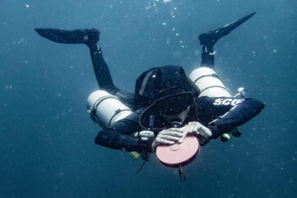 PT-sidemount